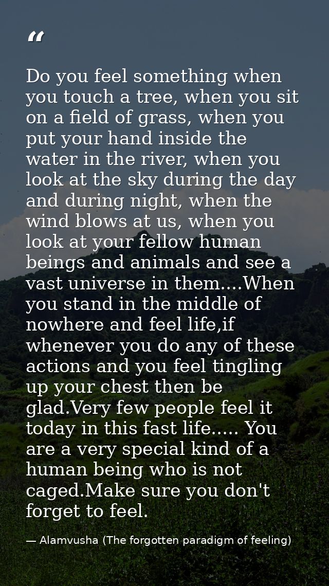 Do you feel something when you touch a tree, when you sit on a field of grass, when you put your hand inside the water i — Alamvusha (The forgotten paradigm of feeling)