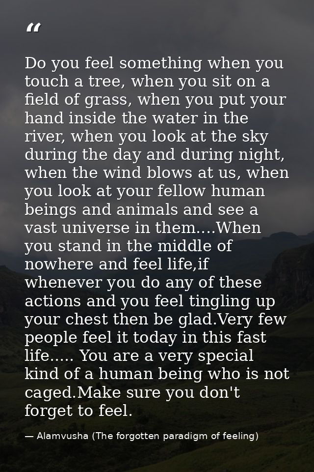 Do you feel something when you touch a tree, when you sit on a field of grass, when you put your hand inside the water i — Alamvusha (The forgotten paradigm of feeling)
