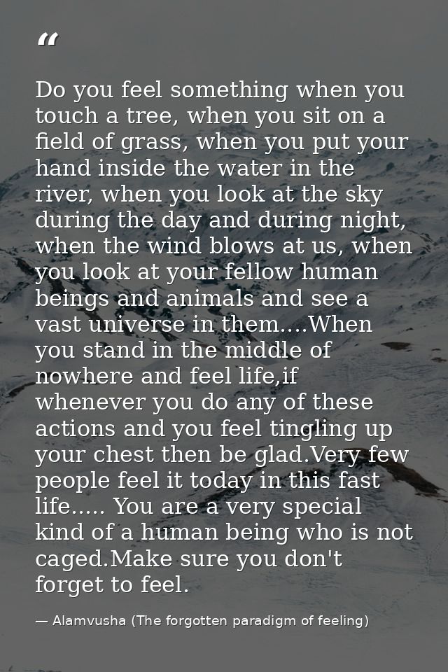 Do you feel something when you touch a tree, when you sit on a field of grass, when you put your hand inside the water i — Alamvusha (The forgotten paradigm of feeling)