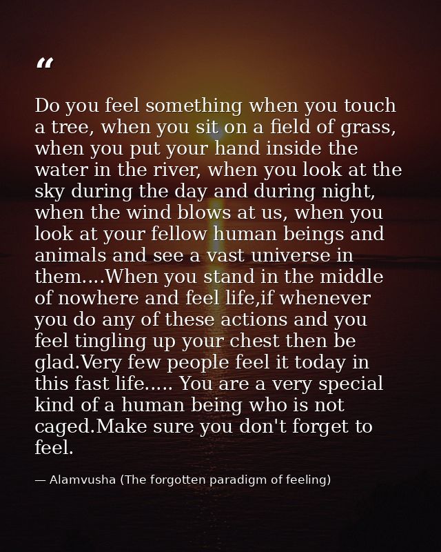 Do you feel something when you touch a tree, when you sit on a field of grass, when you put your hand inside the water i — Alamvusha (The forgotten paradigm of feeling)