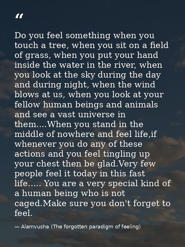 Do you feel something when you touch a tree, when you sit on a field of grass, when you put your hand inside the water i — Alamvusha (The forgotten paradigm of feeling)