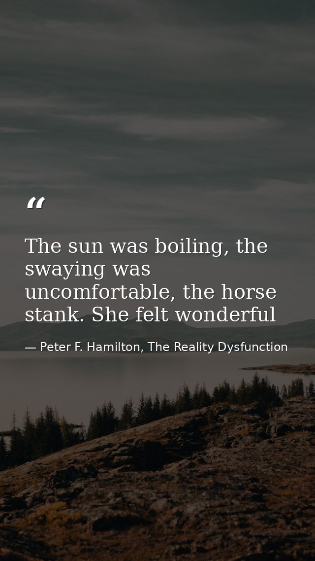 The sun was boiling, the swaying was uncomfortable, the horse stank. She felt wonderful — Peter F. Hamilton, The Reality Dysfunction