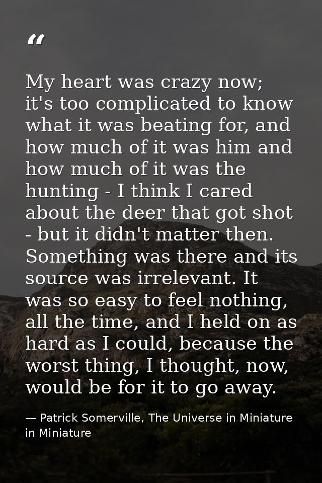 My heart was crazy now; it's too complicated to know what it was beating for, and how much of it was him and how much of — Patrick Somerville, The Universe in Miniature in Miniature