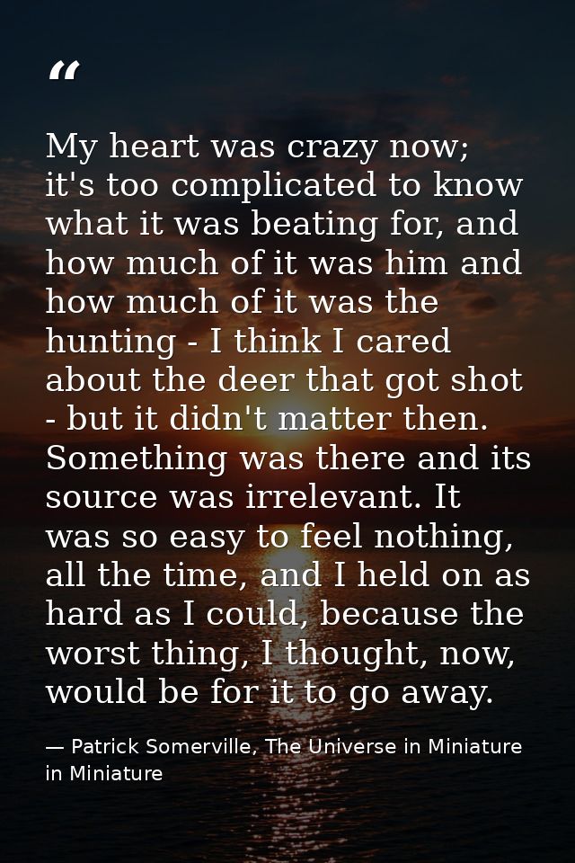 My heart was crazy now; it's too complicated to know what it was beating for, and how much of it was him and how much of — Patrick Somerville, The Universe in Miniature in Miniature
