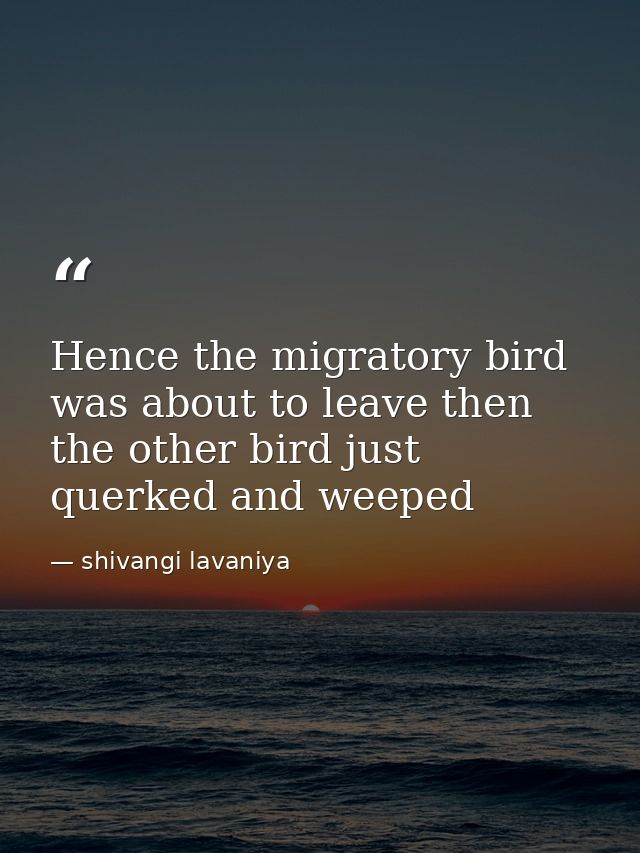 Hence the migratory bird was about to leave then the other bird just querked and weeped — shivangi lavaniya