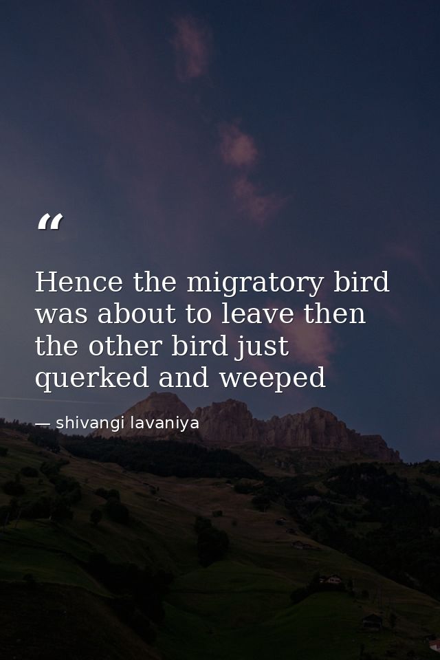 Hence the migratory bird was about to leave then the other bird just querked and weeped — shivangi lavaniya