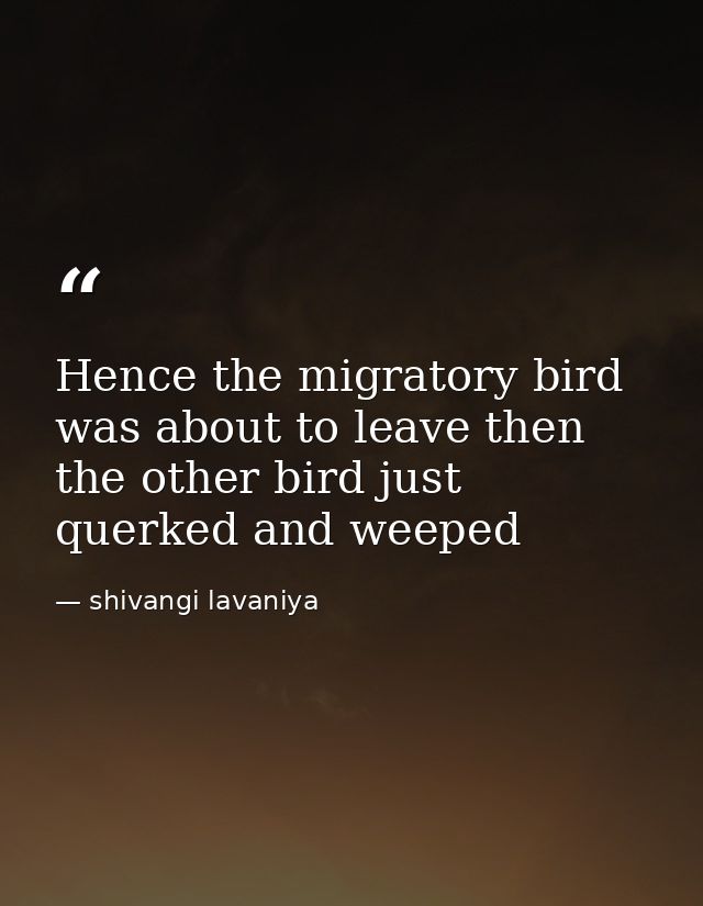Hence the migratory bird was about to leave then the other bird just querked and weeped — shivangi lavaniya