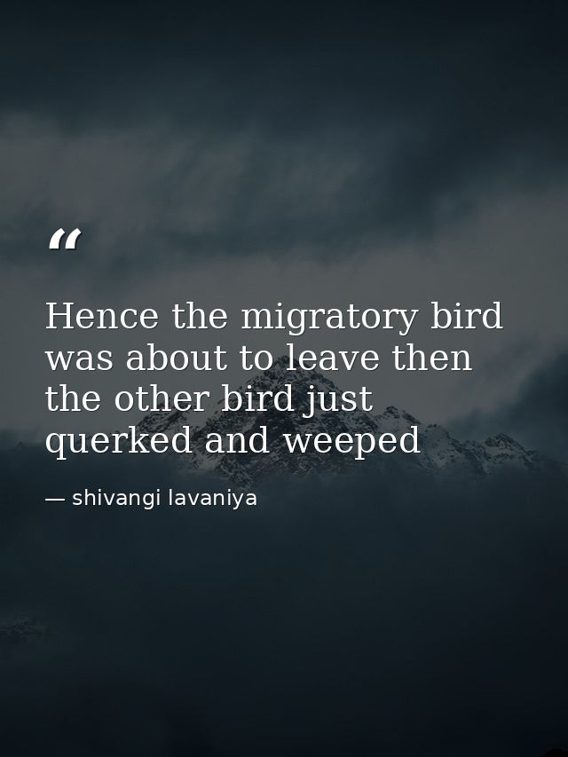 Hence the migratory bird was about to leave then the other bird just querked and weeped — shivangi lavaniya