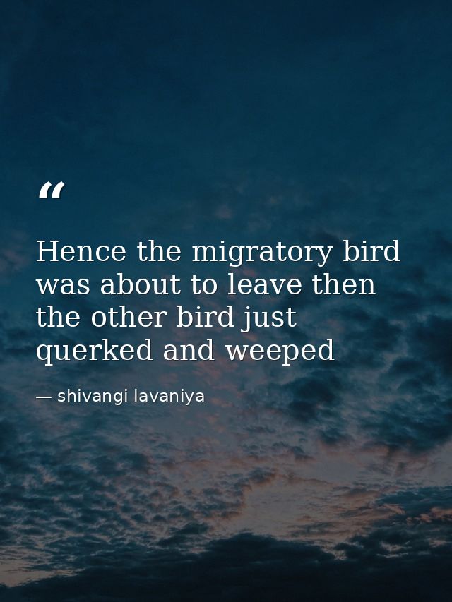 Hence the migratory bird was about to leave then the other bird just querked and weeped — shivangi lavaniya