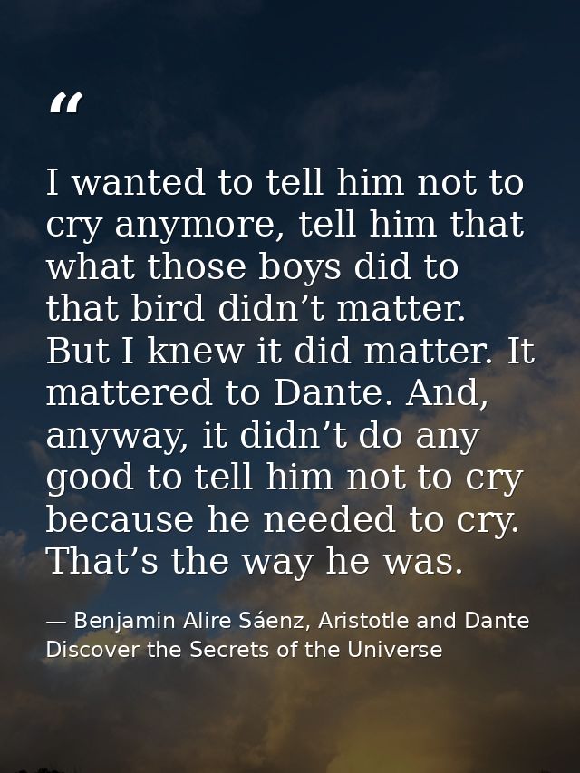 I wanted to tell him not to cry anymore, tell him that what those boys did to that bird didn’t matter. But I knew it did — Benjamin Alire Sáenz, Aristotle and Dante Discover the Secrets of the Universe
