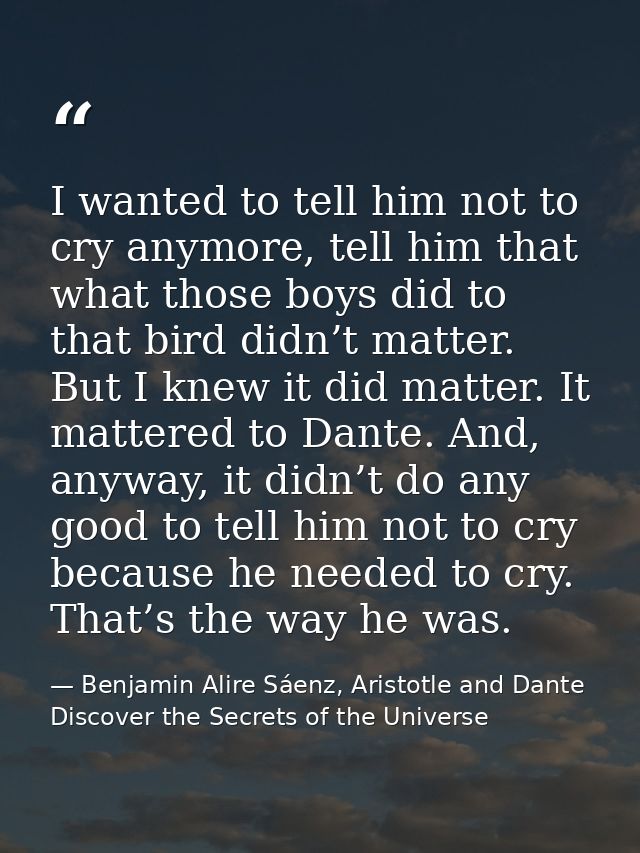I wanted to tell him not to cry anymore, tell him that what those boys did to that bird didn’t matter. But I knew it did — Benjamin Alire Sáenz, Aristotle and Dante Discover the Secrets of the Universe