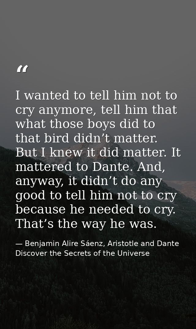 I wanted to tell him not to cry anymore, tell him that what those boys did to that bird didn’t matter. But I knew it did — Benjamin Alire Sáenz, Aristotle and Dante Discover the Secrets of the Universe