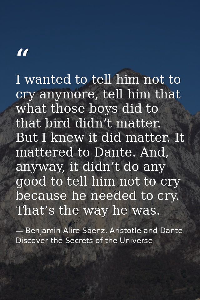 I wanted to tell him not to cry anymore, tell him that what those boys did to that bird didn’t matter. But I knew it did — Benjamin Alire Sáenz, Aristotle and Dante Discover the Secrets of the Universe