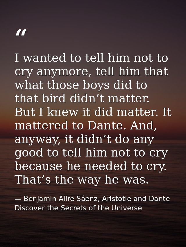 I wanted to tell him not to cry anymore, tell him that what those boys did to that bird didn’t matter. But I knew it did — Benjamin Alire Sáenz, Aristotle and Dante Discover the Secrets of the Universe