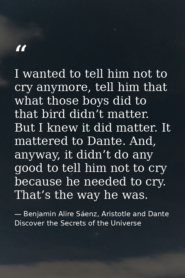 I wanted to tell him not to cry anymore, tell him that what those boys did to that bird didn’t matter. But I knew it did — Benjamin Alire Sáenz, Aristotle and Dante Discover the Secrets of the Universe