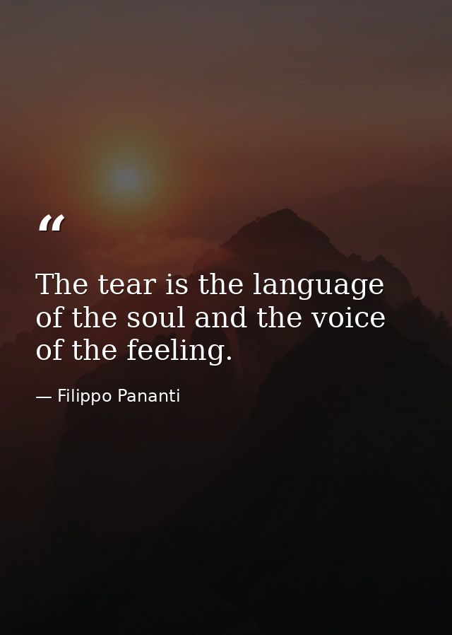 The tear is the language of the soul and the voice of the feeling. — Filippo Pananti