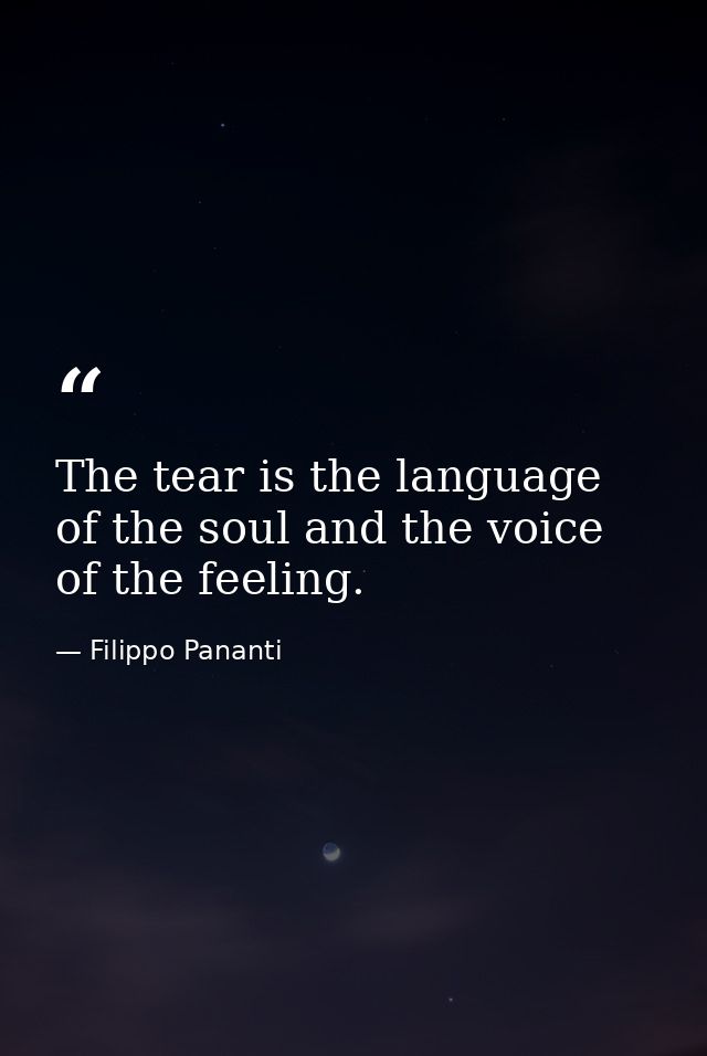 The tear is the language of the soul and the voice of the feeling. — Filippo Pananti