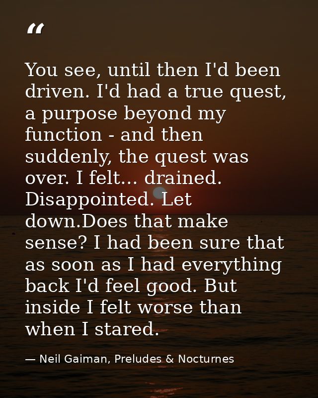 You see, until then I'd been driven. I'd had a true quest, a purpose beyond my function - and then suddenly, the quest w — Neil Gaiman, Preludes & Nocturnes