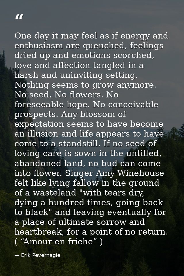 One day it may feel as if energy and enthusiasm are quenched, feelings dried up and emotions scorched, love and affectio — Erik Pevernagie