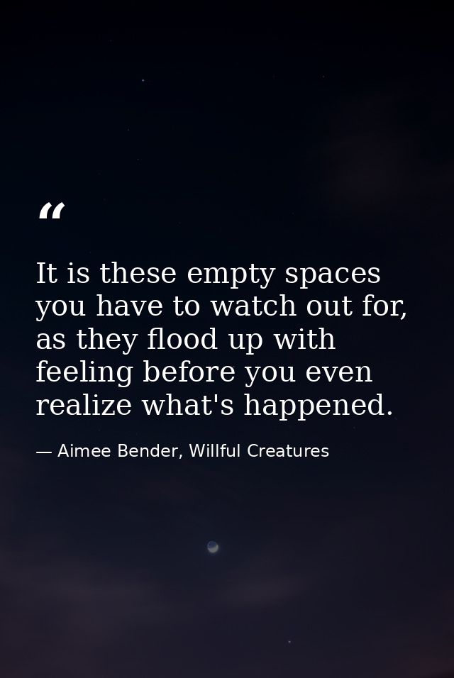 It is these empty spaces you have to watch out for, as they flood up with feeling before you even realize what's happene — Aimee Bender, Willful Creatures
