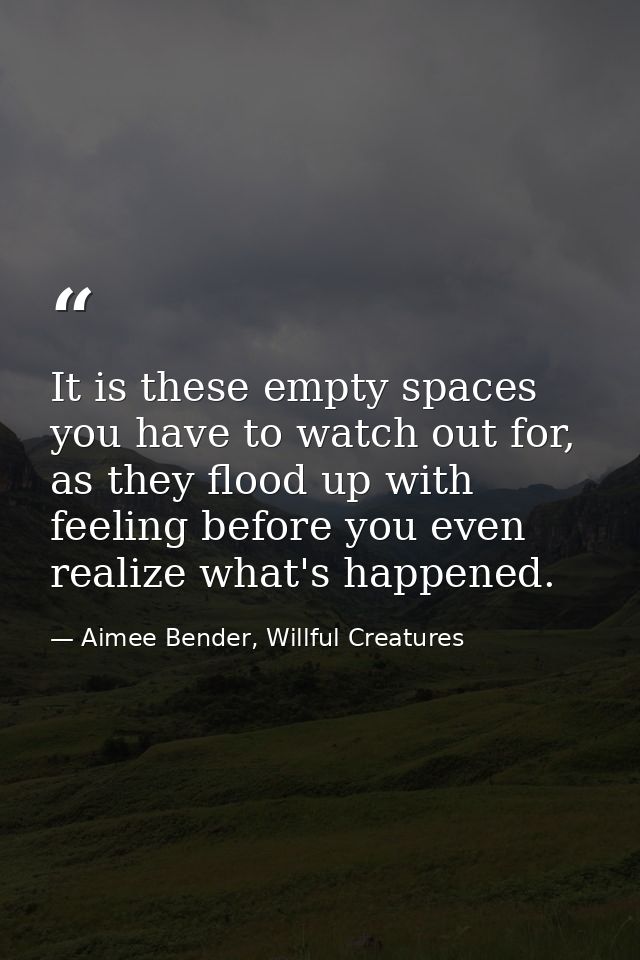 It is these empty spaces you have to watch out for, as they flood up with feeling before you even realize what's happene — Aimee Bender, Willful Creatures