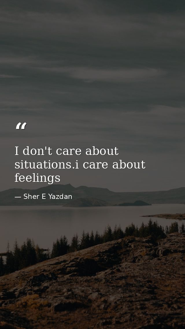 I don't care about situations.i care about feelings — Sher E Yazdan