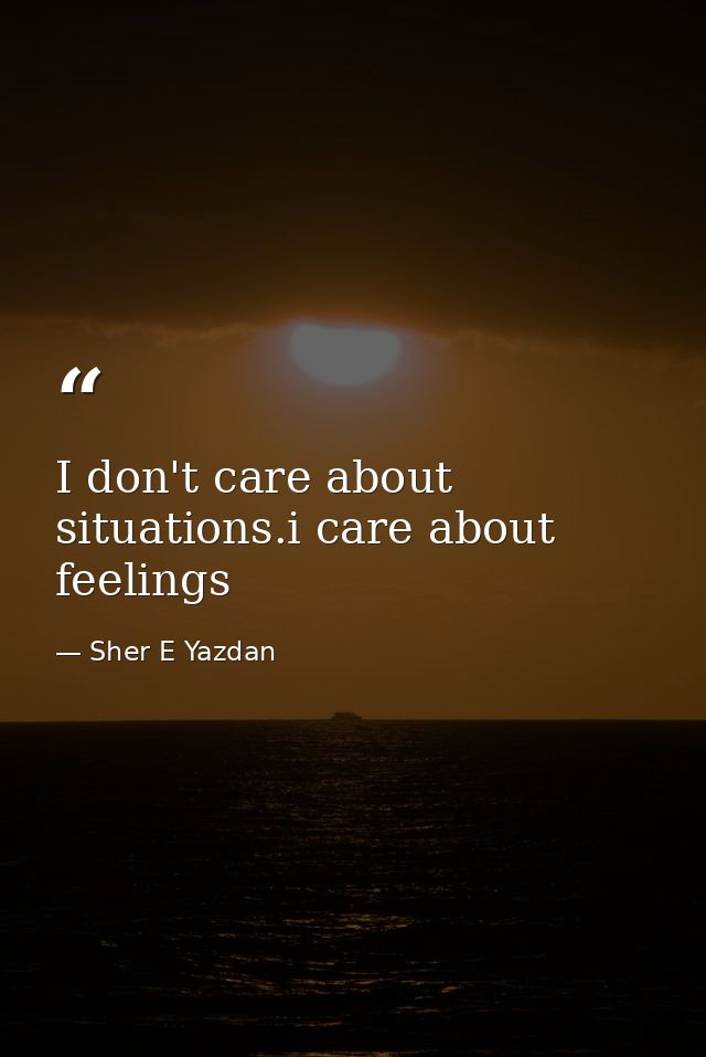 I don't care about situations.i care about feelings — Sher E Yazdan