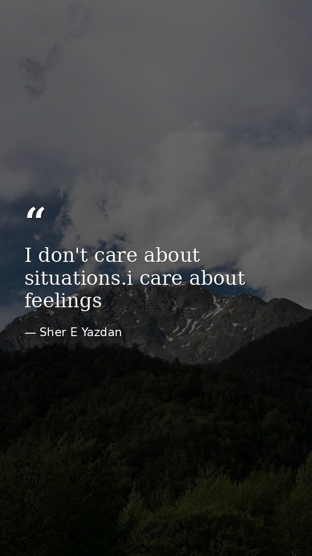 I don't care about situations.i care about feelings — Sher E Yazdan
