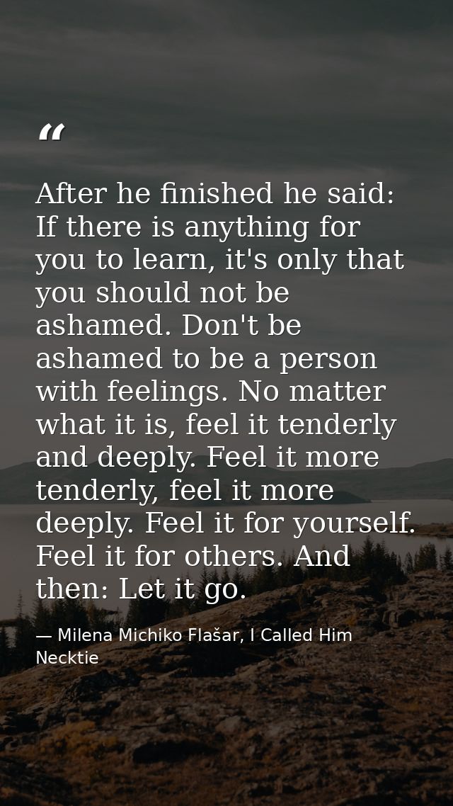 After he finished he said: If there is anything for you to learn, it's only that you should not be ashamed. Don't be ash — Milena Michiko Flašar, I Called Him Necktie