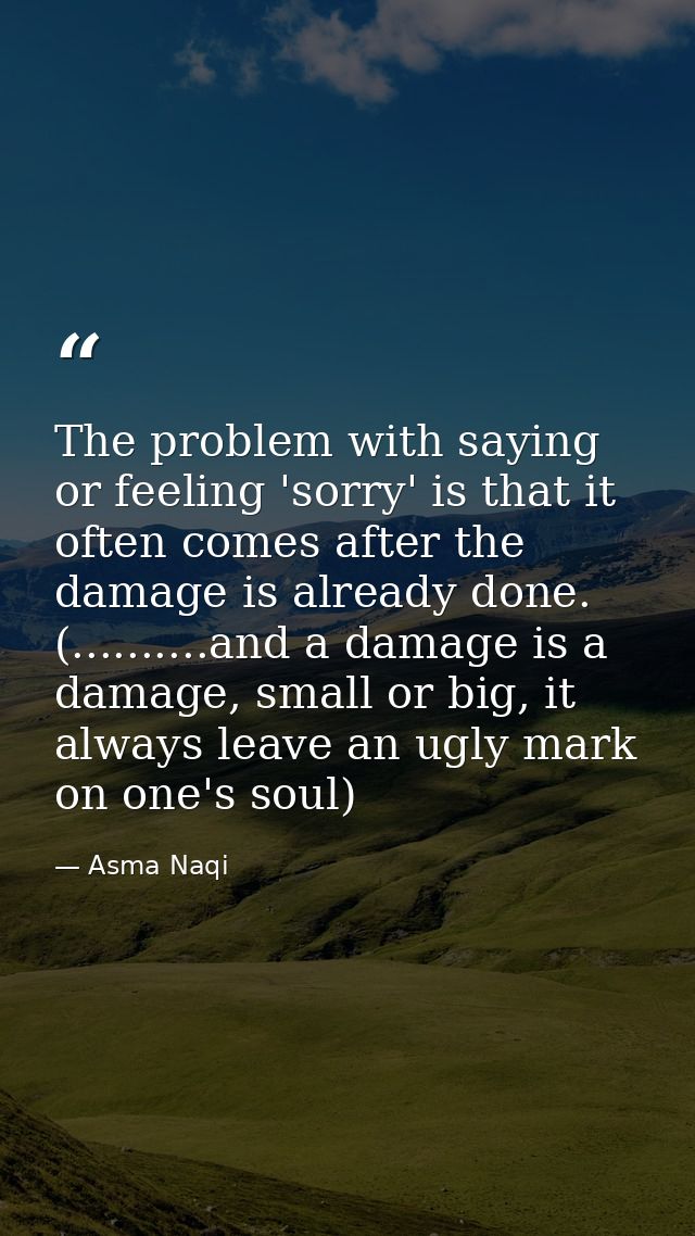 The problem with saying or feeling 'sorry' is that it often comes after the damage is already done. (..........and a dam — Asma Naqi