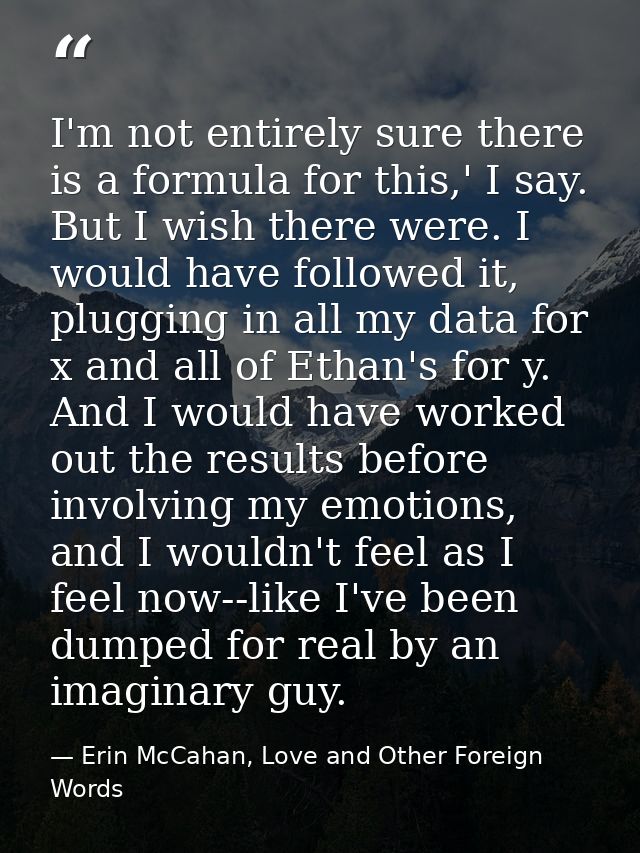 I'm not entirely sure there is a formula for this,' I say. But I wish there were. I would have followed it, plugging in  — Erin McCahan, Love and Other Foreign Words