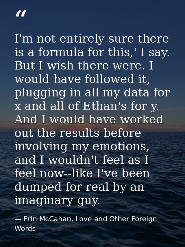 I'm not entirely sure there is a formula for this,' I say. But I wish there were. I would have followed it, plugging in  — Erin McCahan, Love and Other Foreign Words