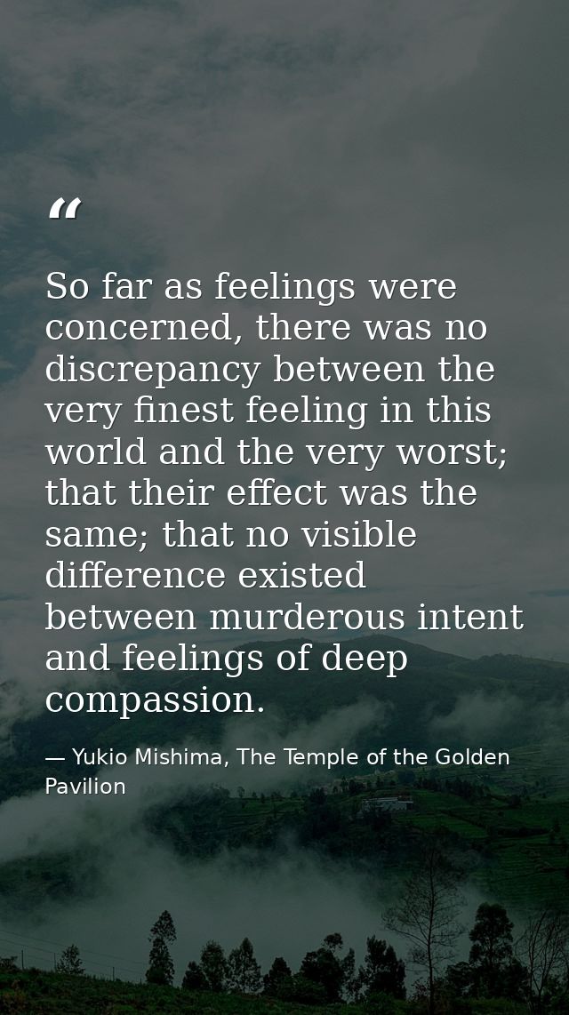 So far as feelings were concerned, there was no discrepancy between the very finest feeling in this world and the very w — Yukio Mishima, The Temple of the Golden Pavilion