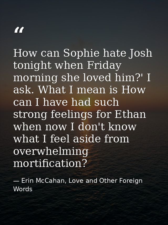 How can Sophie hate Josh tonight when Friday morning she loved him?' I ask. What I mean is How can I have had such stron — Erin McCahan, Love and Other Foreign Words