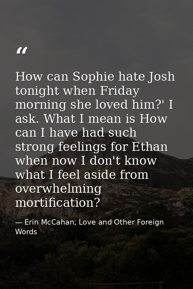 How can Sophie hate Josh tonight when Friday morning she loved him?' I ask. What I mean is How can I have had such stron — Erin McCahan, Love and Other Foreign Words