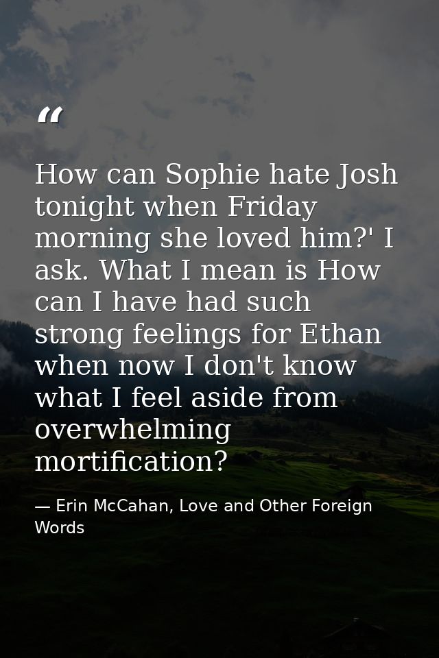 How can Sophie hate Josh tonight when Friday morning she loved him?' I ask. What I mean is How can I have had such stron — Erin McCahan, Love and Other Foreign Words