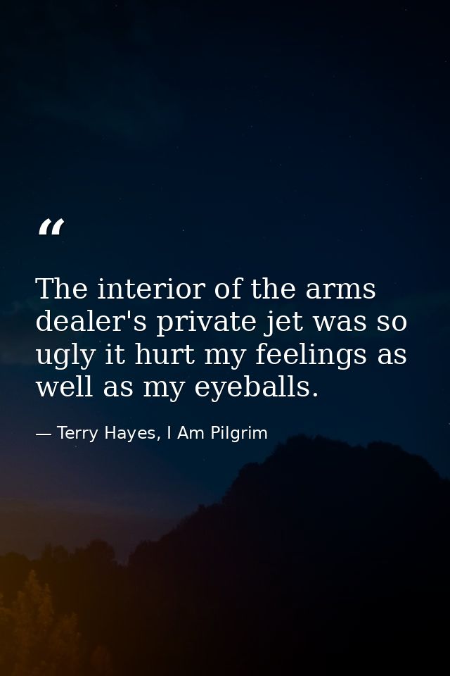 The interior of the arms dealer's private jet was so ugly it hurt my feelings as well as my eyeballs. — Terry Hayes, I Am Pilgrim