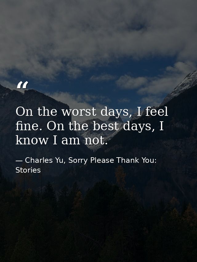 On the worst days, I feel fine. On the best days, I know I am not. — Charles Yu, Sorry Please Thank You: Stories