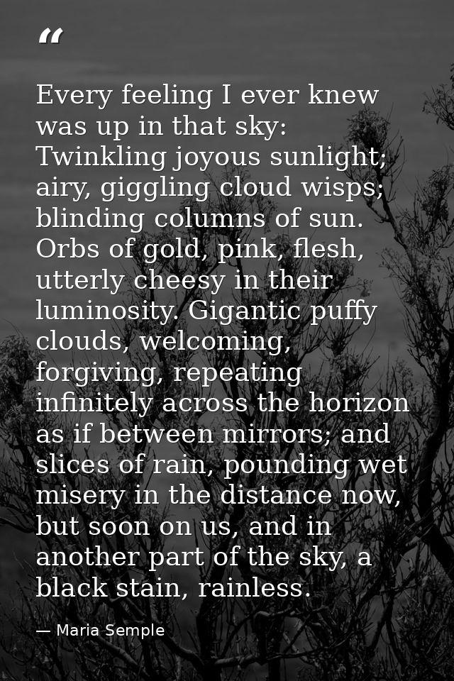 Every feeling I ever knew was up in that sky: Twinkling joyous sunlight; airy, giggling cloud wisps; blinding columns of — Maria Semple