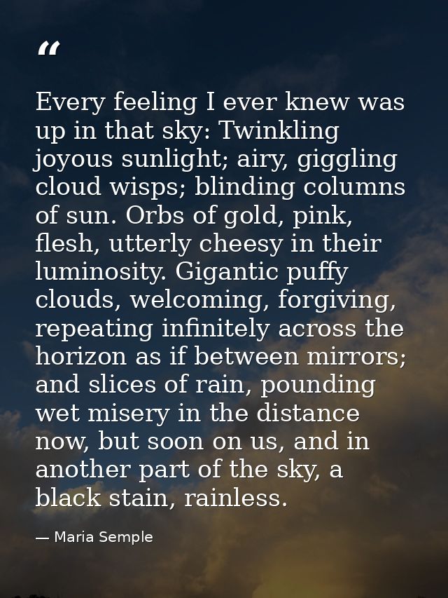 Every feeling I ever knew was up in that sky: Twinkling joyous sunlight; airy, giggling cloud wisps; blinding columns of — Maria Semple