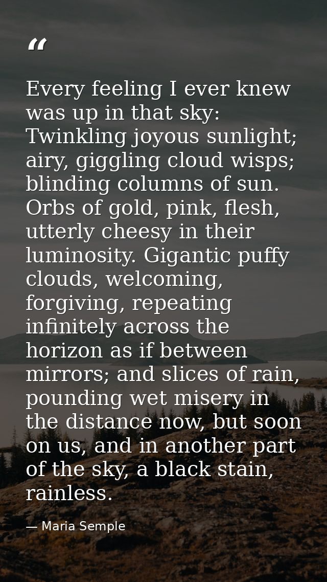 Every feeling I ever knew was up in that sky: Twinkling joyous sunlight; airy, giggling cloud wisps; blinding columns of — Maria Semple
