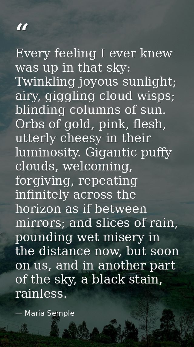 Every feeling I ever knew was up in that sky: Twinkling joyous sunlight; airy, giggling cloud wisps; blinding columns of — Maria Semple