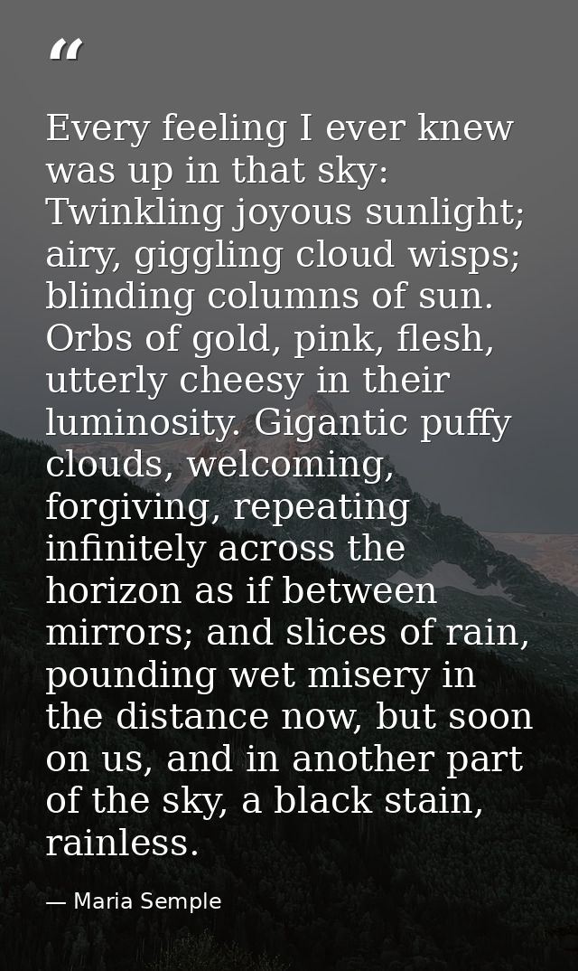 Every feeling I ever knew was up in that sky: Twinkling joyous sunlight; airy, giggling cloud wisps; blinding columns of — Maria Semple