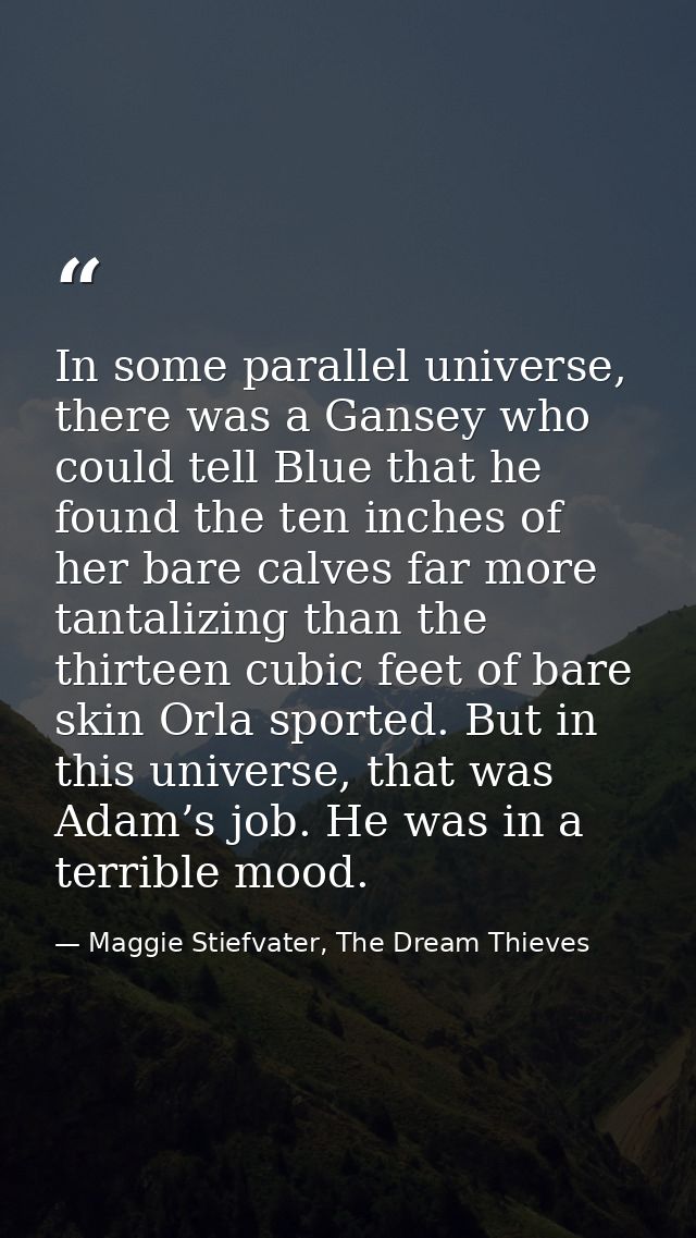 In some parallel universe, there was a Gansey who could tell Blue that he found the ten inches of her bare calves far mo — Maggie Stiefvater, The Dream Thieves