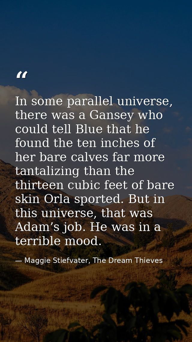 In some parallel universe, there was a Gansey who could tell Blue that he found the ten inches of her bare calves far mo — Maggie Stiefvater, The Dream Thieves