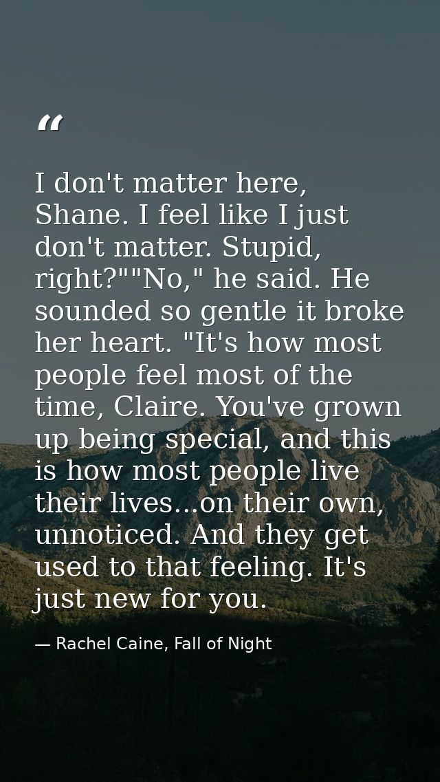 I don't matter here, Shane. I feel like I just don't matter. Stupid, right?""No," he said. He sounded so gentle it broke — Rachel Caine, Fall of Night