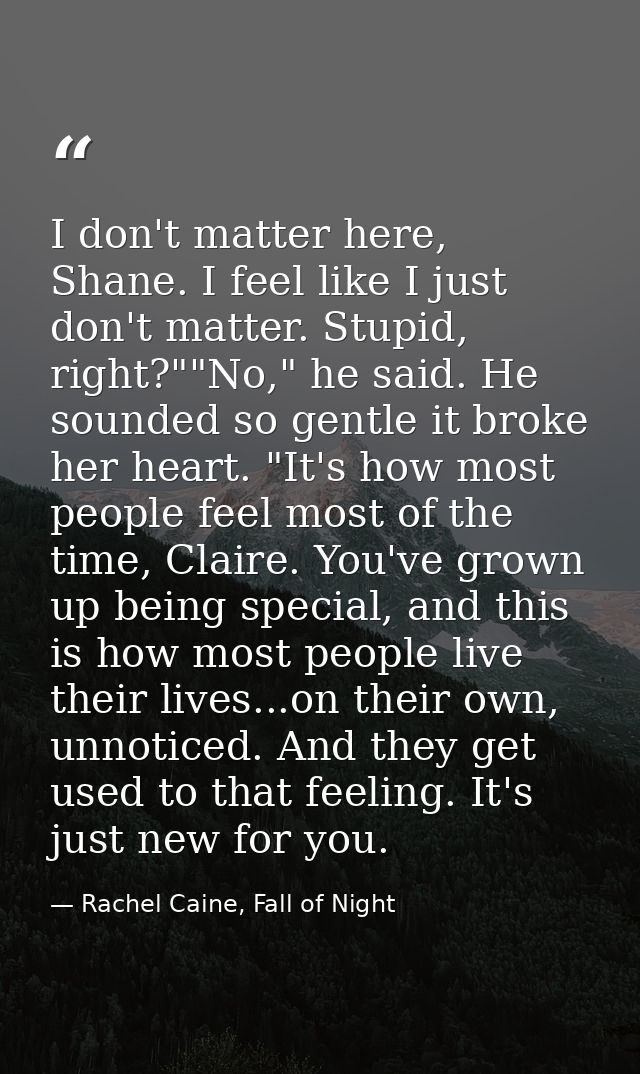 I don't matter here, Shane. I feel like I just don't matter. Stupid, right?""No," he said. He sounded so gentle it broke — Rachel Caine, Fall of Night