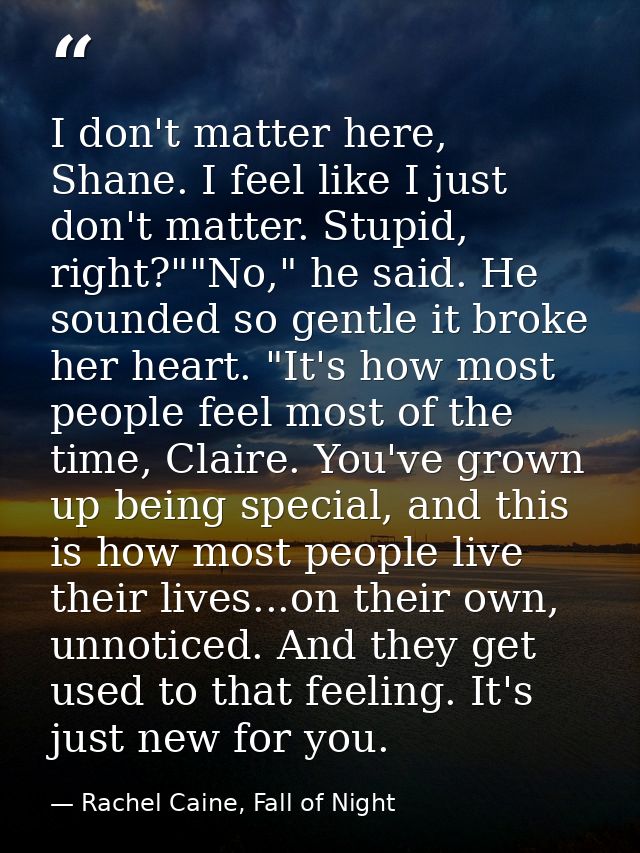 I don't matter here, Shane. I feel like I just don't matter. Stupid, right?""No," he said. He sounded so gentle it broke — Rachel Caine, Fall of Night