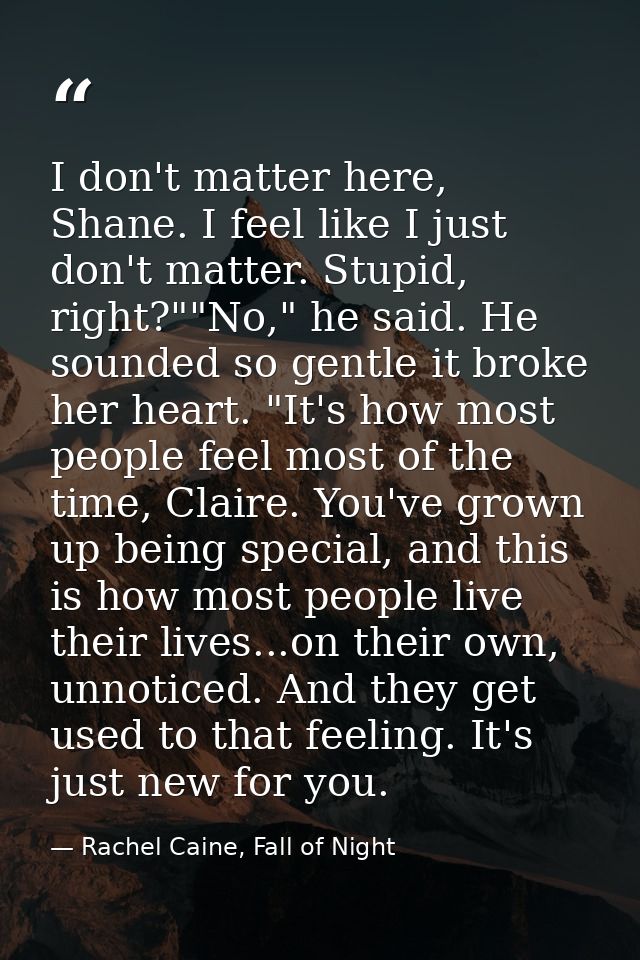 I don't matter here, Shane. I feel like I just don't matter. Stupid, right?""No," he said. He sounded so gentle it broke — Rachel Caine, Fall of Night