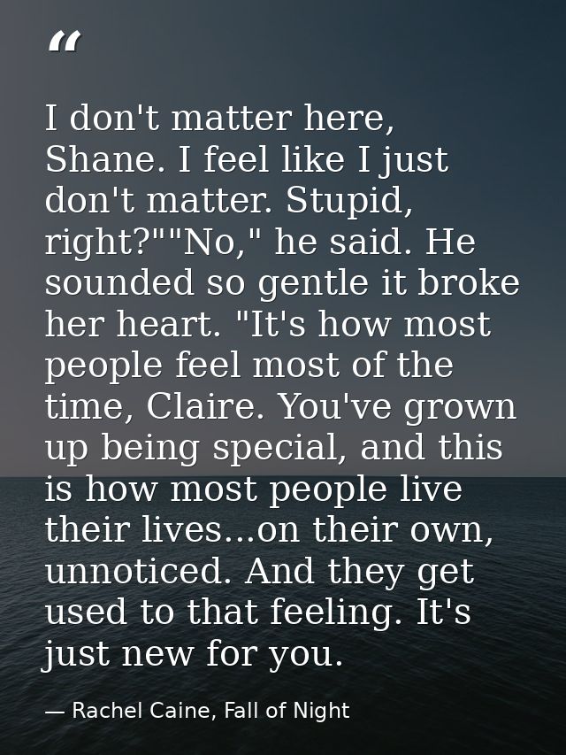 I don't matter here, Shane. I feel like I just don't matter. Stupid, right?""No," he said. He sounded so gentle it broke — Rachel Caine, Fall of Night
